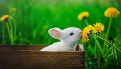 kaiyun体育-中超场均传球次数排名对照，中超场均观众人数