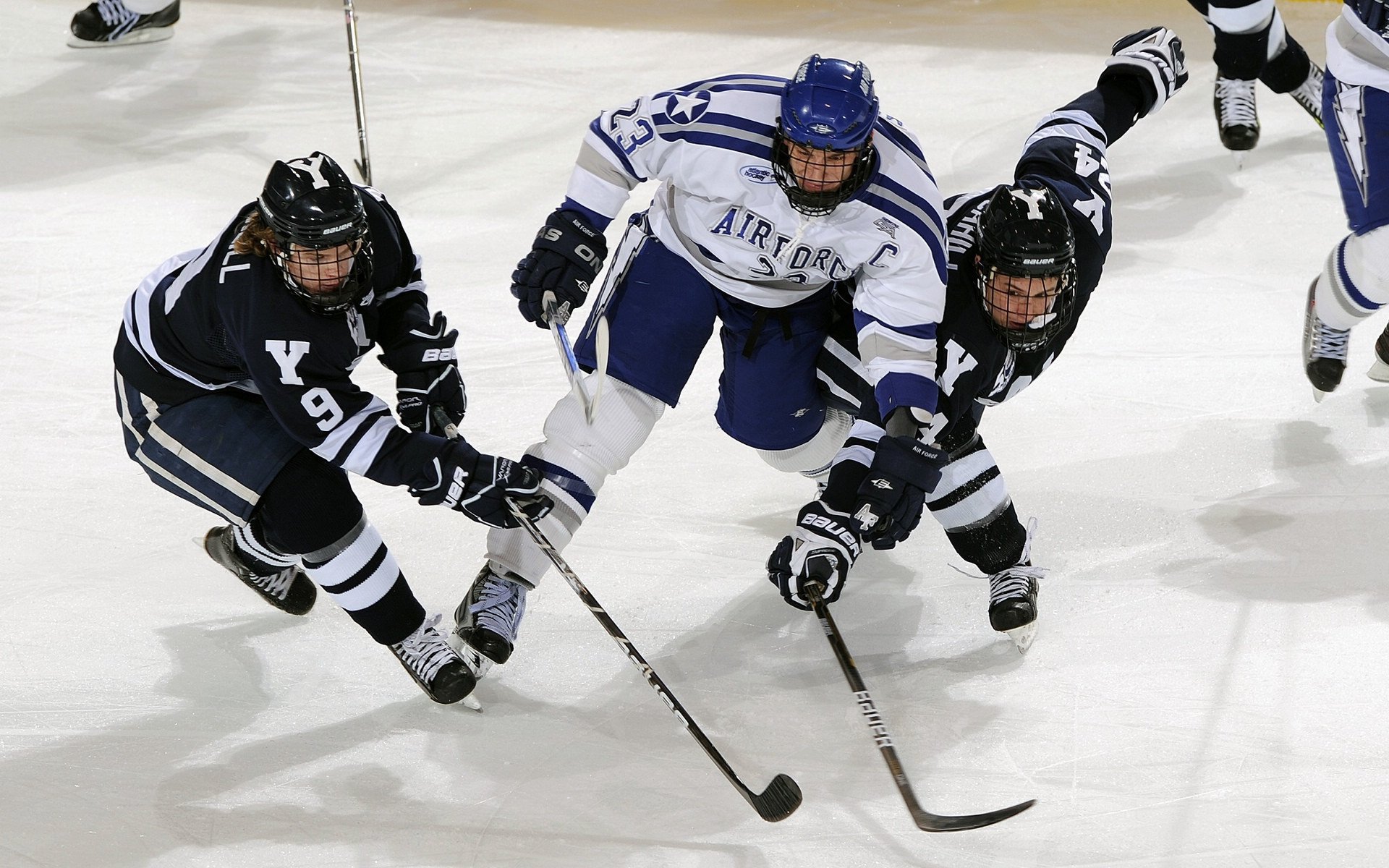 开云体育APP-纽约自由人季前赛表现抢眼，纽约自由人vs