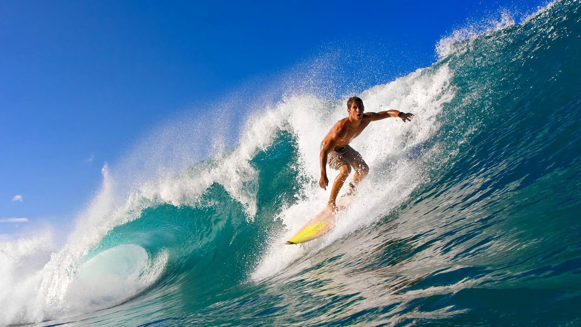 体育赛事安全防护方案，体育赛事的安全隐患及防护措施